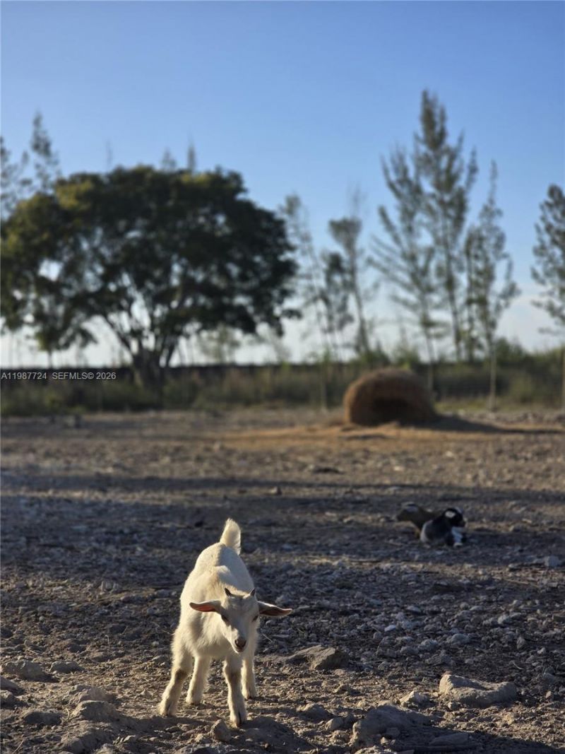 208 Ave , Miami, FL 33196 Photo