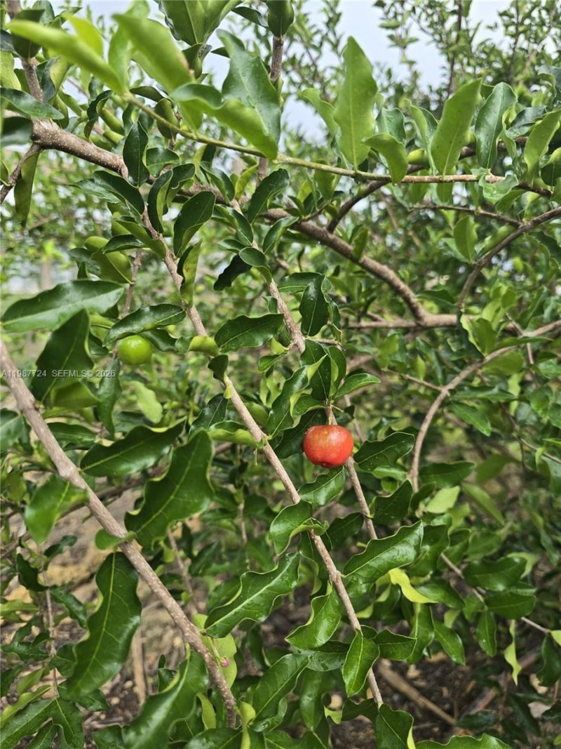 208 Ave , Miami, FL 33196 Photo