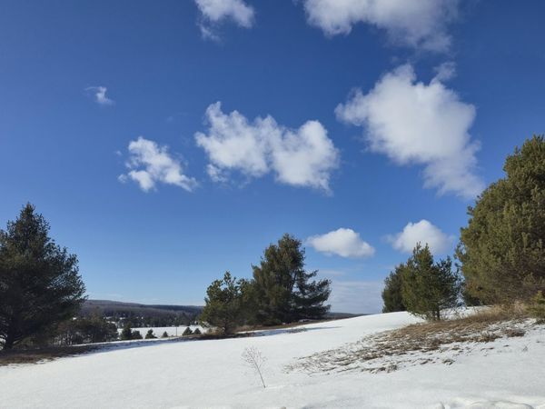 5850 Deer Run Trail, Harbor Springs, MI 49740