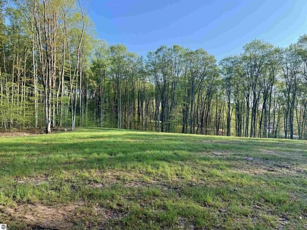 1 Bright Road S, Maple City, MI 49664