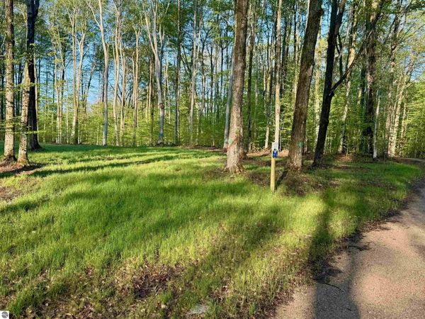 2 Bright Road S, Maple City, MI 49664