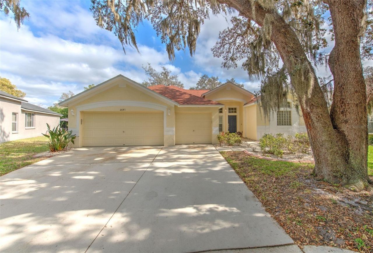 2641 Brookville Drive, Valrico, FL 33596 Main Photo