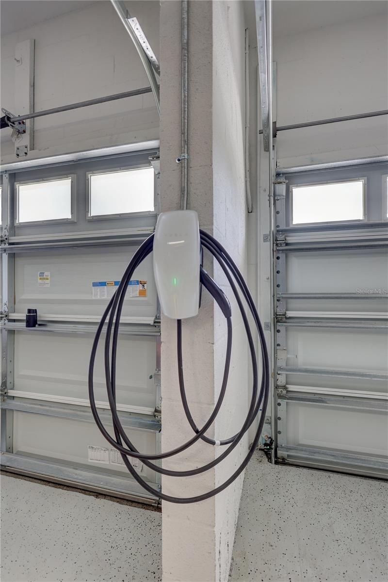 4593 Shoreleaf Loop , Valrico, FL 33596 Photo