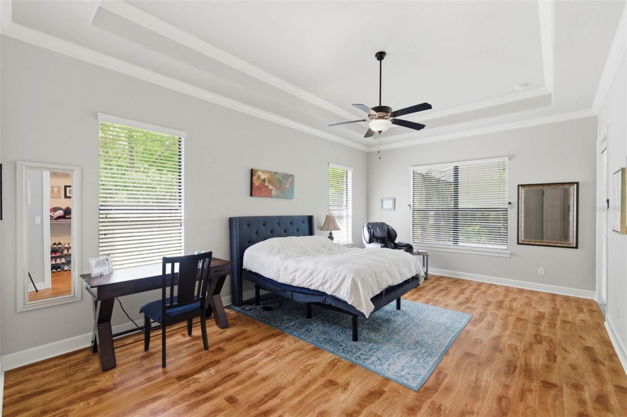 4120 Ridgemoor Drive, Palm Harbor, FL 34685 Photo