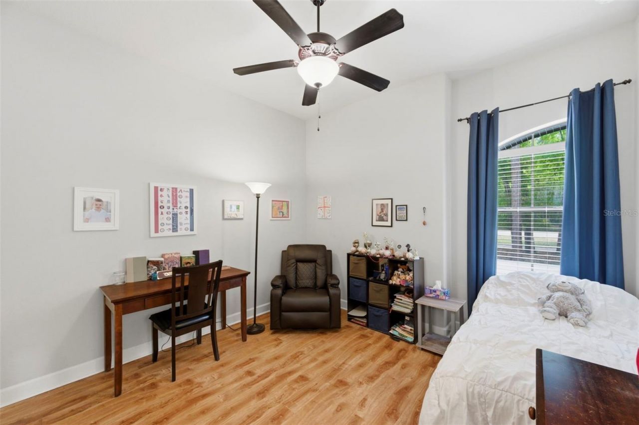 4120 Ridgemoor Drive, Palm Harbor, FL 34685 Photo