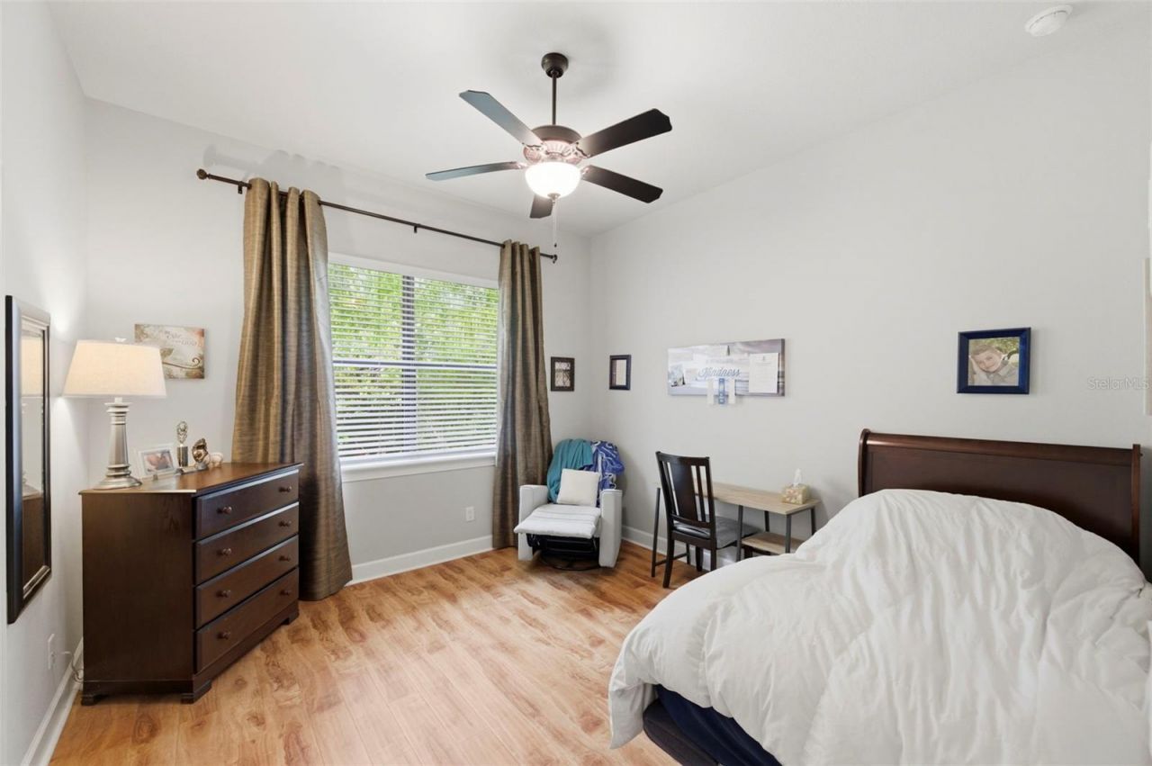 4120 Ridgemoor Drive, Palm Harbor, FL 34685 Photo