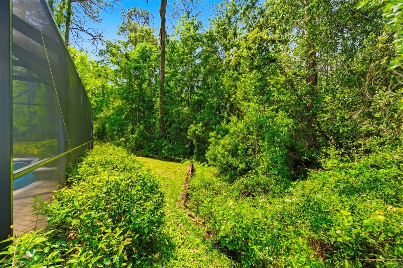 4120 Ridgemoor Drive, Palm Harbor, FL 34685 Photo