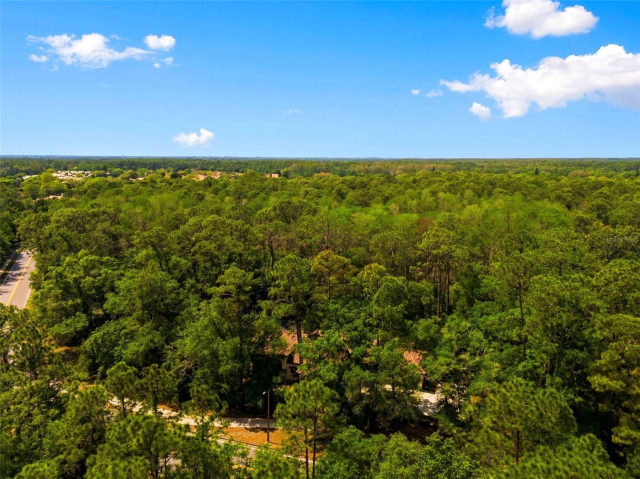 4120 Ridgemoor Drive, Palm Harbor, FL 34685 Photo