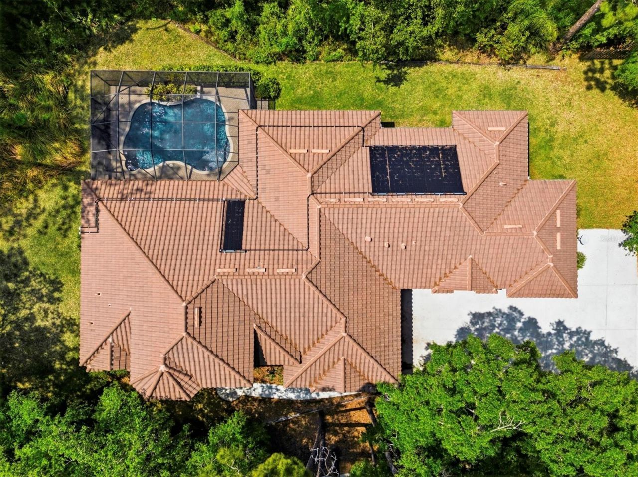 4120 Ridgemoor Drive, Palm Harbor, FL 34685 Photo