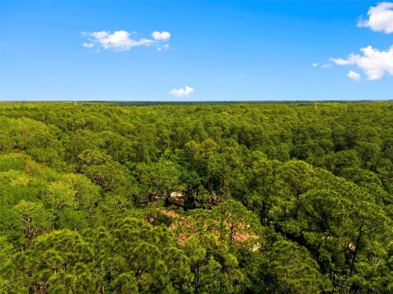 4120 Ridgemoor Drive, Palm Harbor, FL 34685 Photo