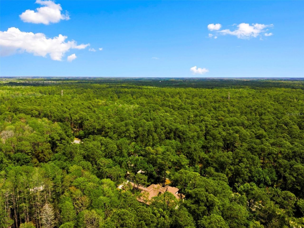 4120 Ridgemoor Drive, Palm Harbor, FL 34685 Photo