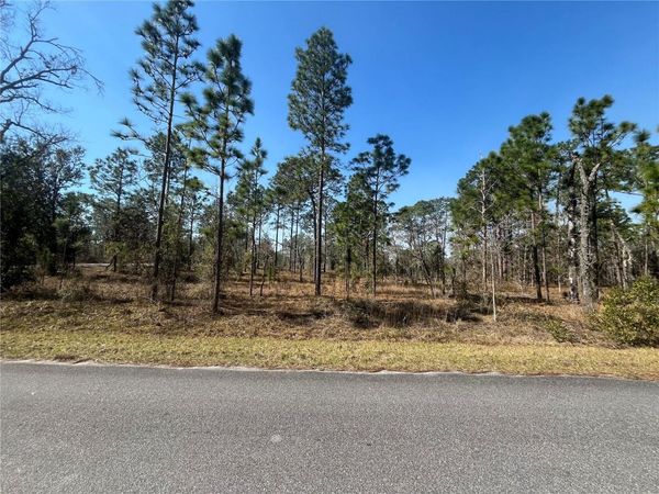 WATER OAK AVENUE , DUNNELLON, FL 34431