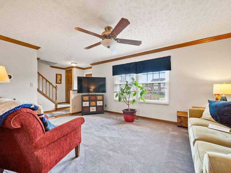 3415 Birch Street, Grove City, OH 43123 Photo 7