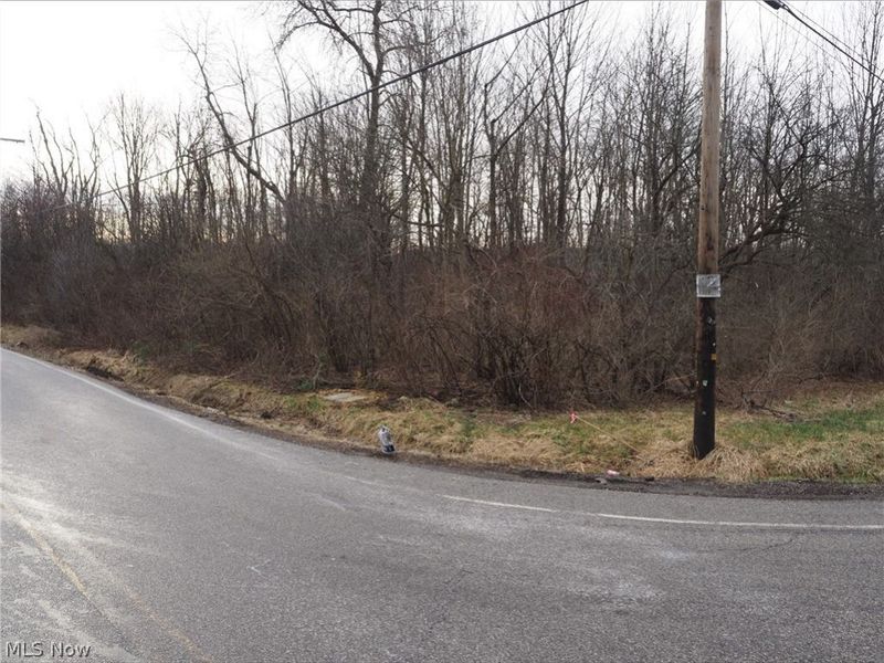 V/L 1 Bartholomew Road, Chagrin Falls, OH 44023 Photo 2