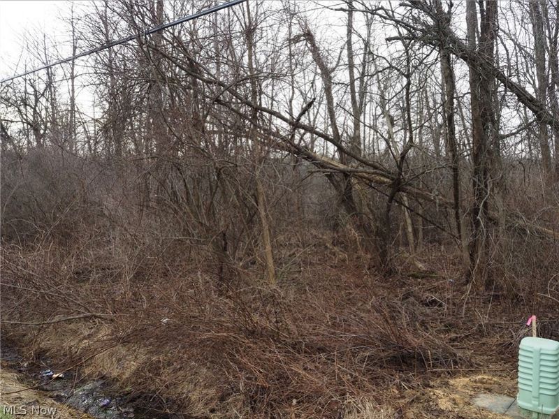 V/L 2 Bartholomew Road, Chagrin Falls, OH 44023 Photo 2