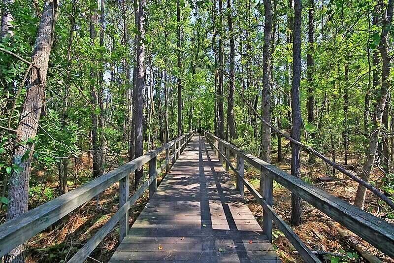 1309 Country Wood Court Photo 58