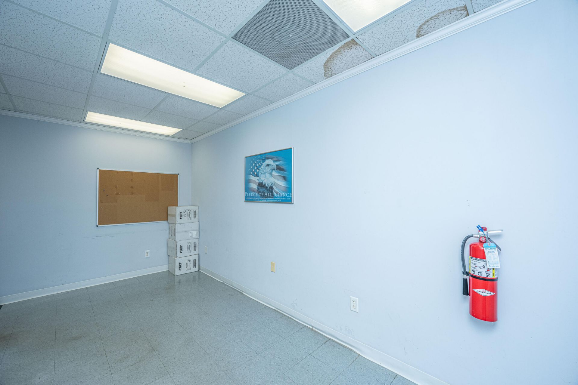 29 Leinbach Drive  Photo 7