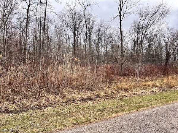Brianna Ct. Lot 11, Ashtabula, OH 44004