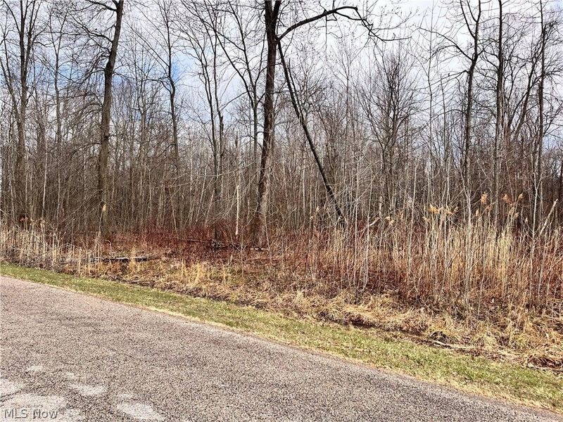 Brianna Ct. Lot 11, Ashtabula, OH 44004 Photo 4