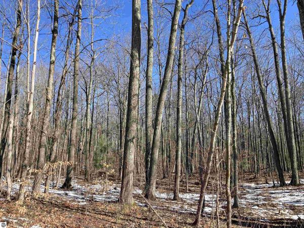 Heath Road, Rose City, MI 48654