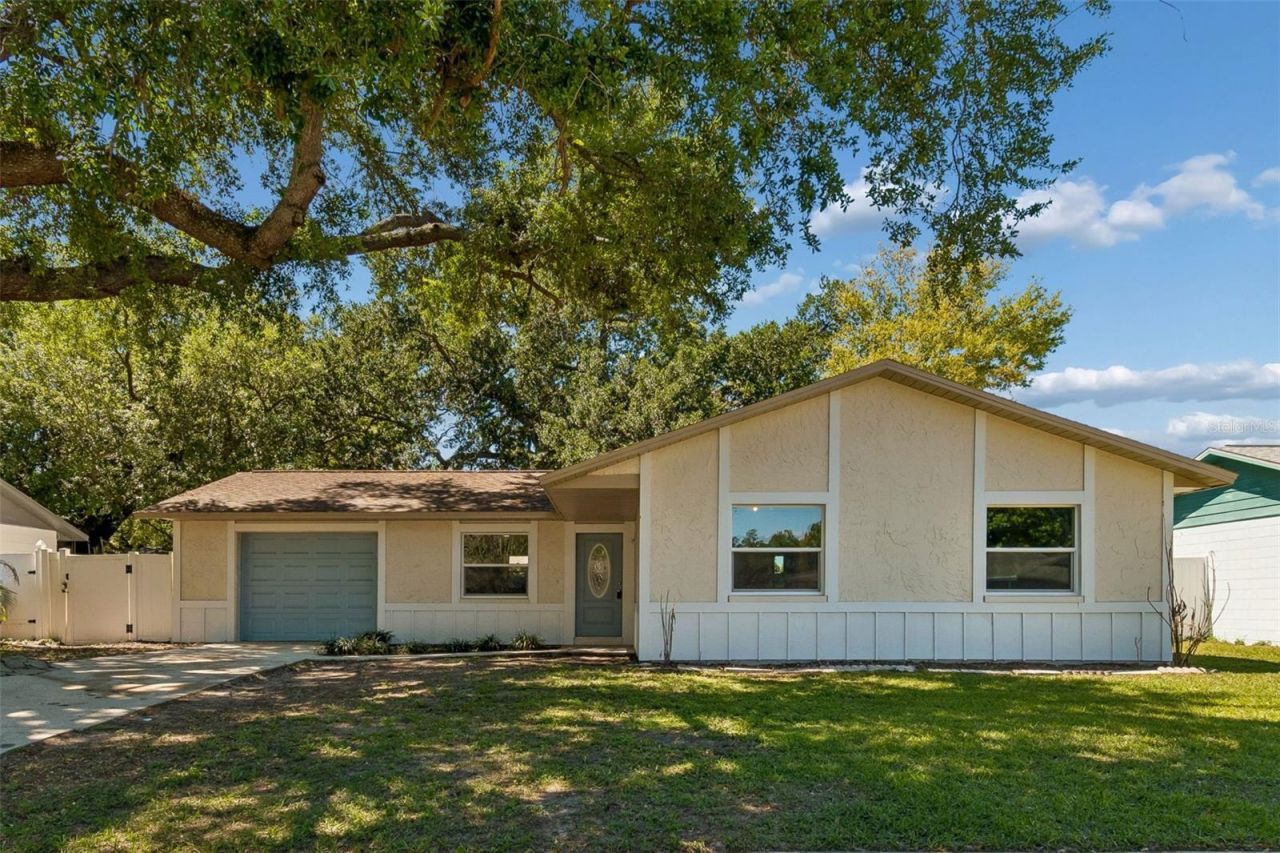 4028 Truman Drive, Seffner, FL 33584 Main Photo