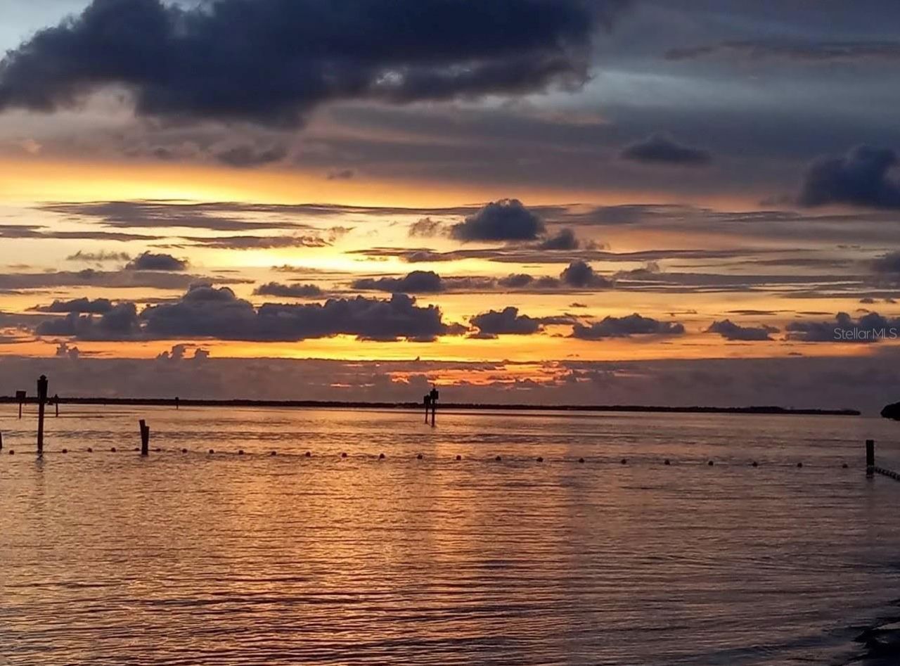 1955 Dartmouth Drive, Holiday, FL 34691 Photo