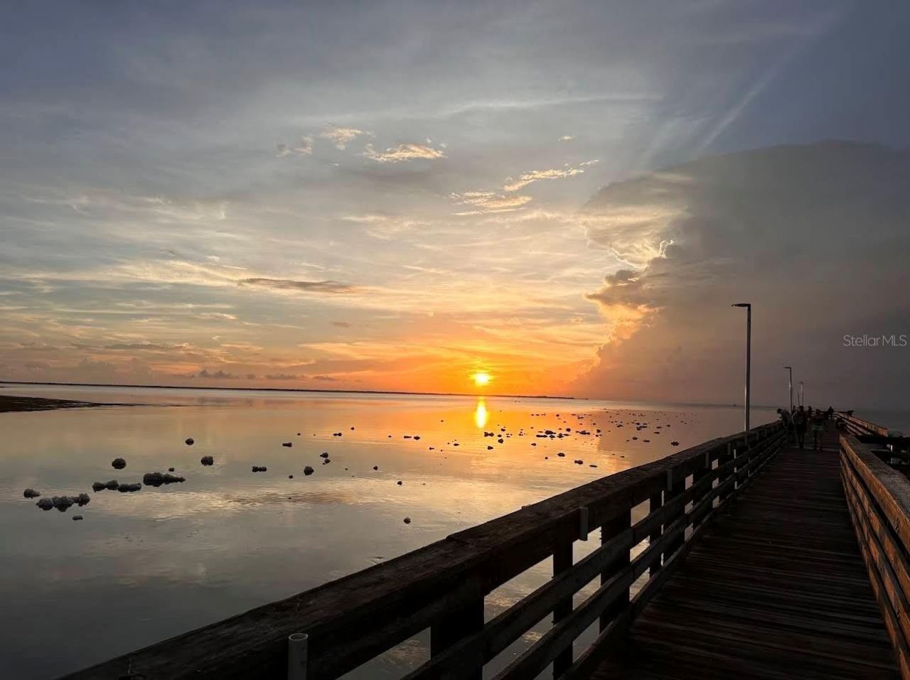 1955 Dartmouth Drive, Holiday, FL 34691 Photo