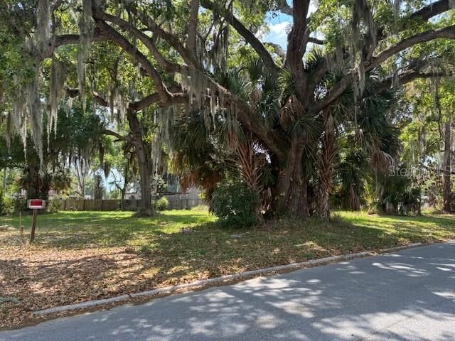 305 Elaine Drive , Auburndale, FL 33823 Photo