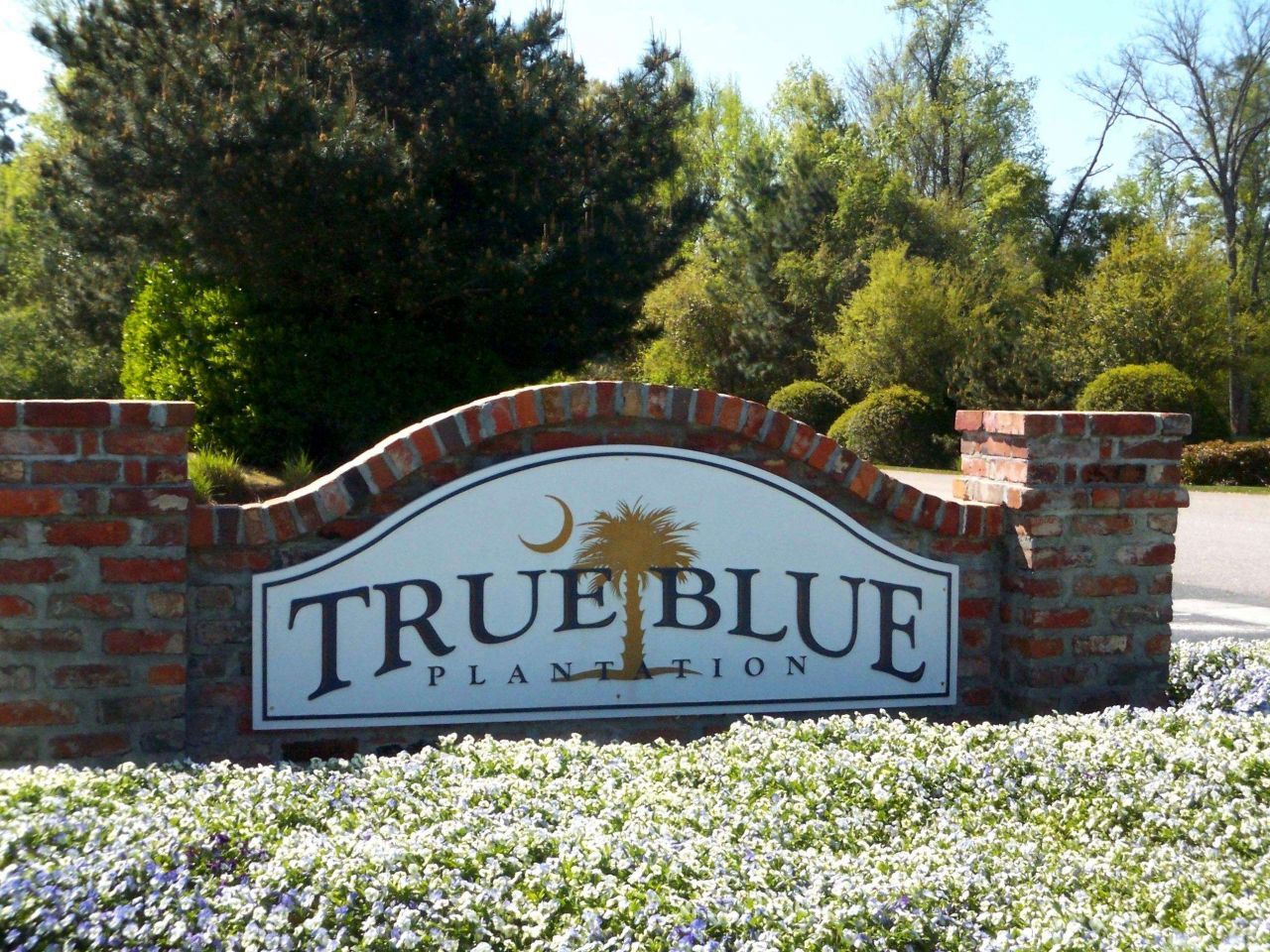 1123 Blue Stem Dr. Photo 18