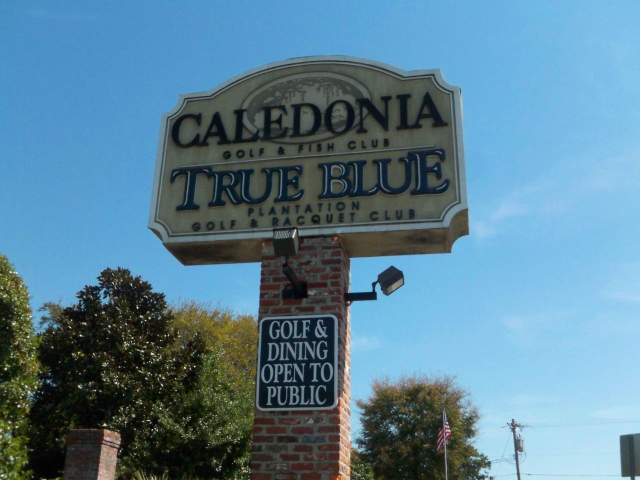 1123 Blue Stem Dr. Photo 23