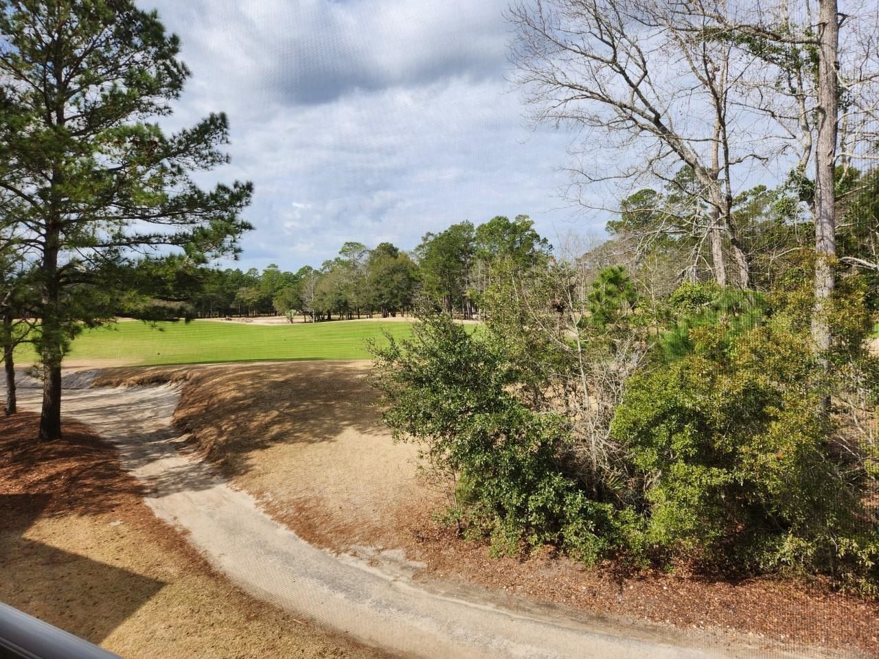 1123 Blue Stem Dr. Photo 4