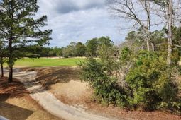 1123 Blue Stem Dr. photo 4