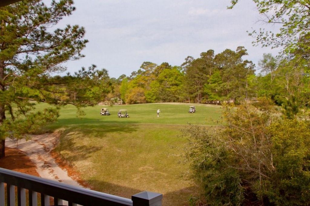 1123 Blue Stem Dr. Photo 5