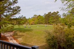 1123 Blue Stem Dr. photo 4