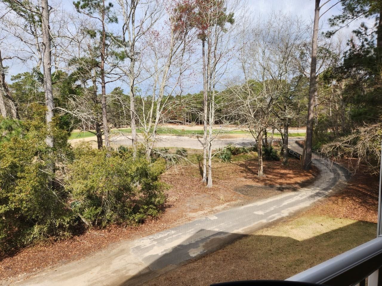 1123 Blue Stem Dr. Photo 6