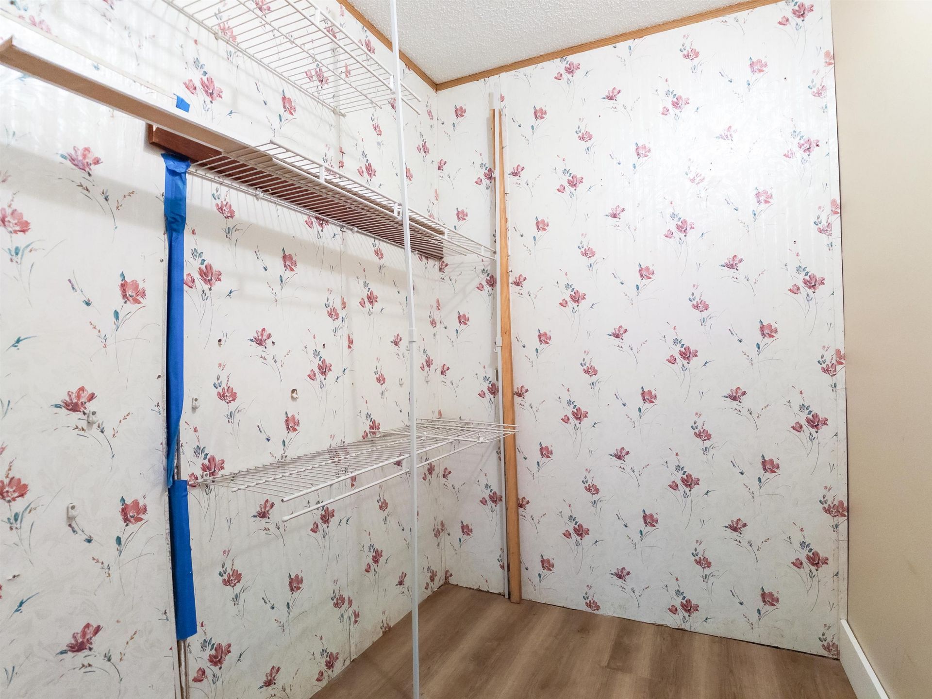 117 Ranchette Circle  Photo 12