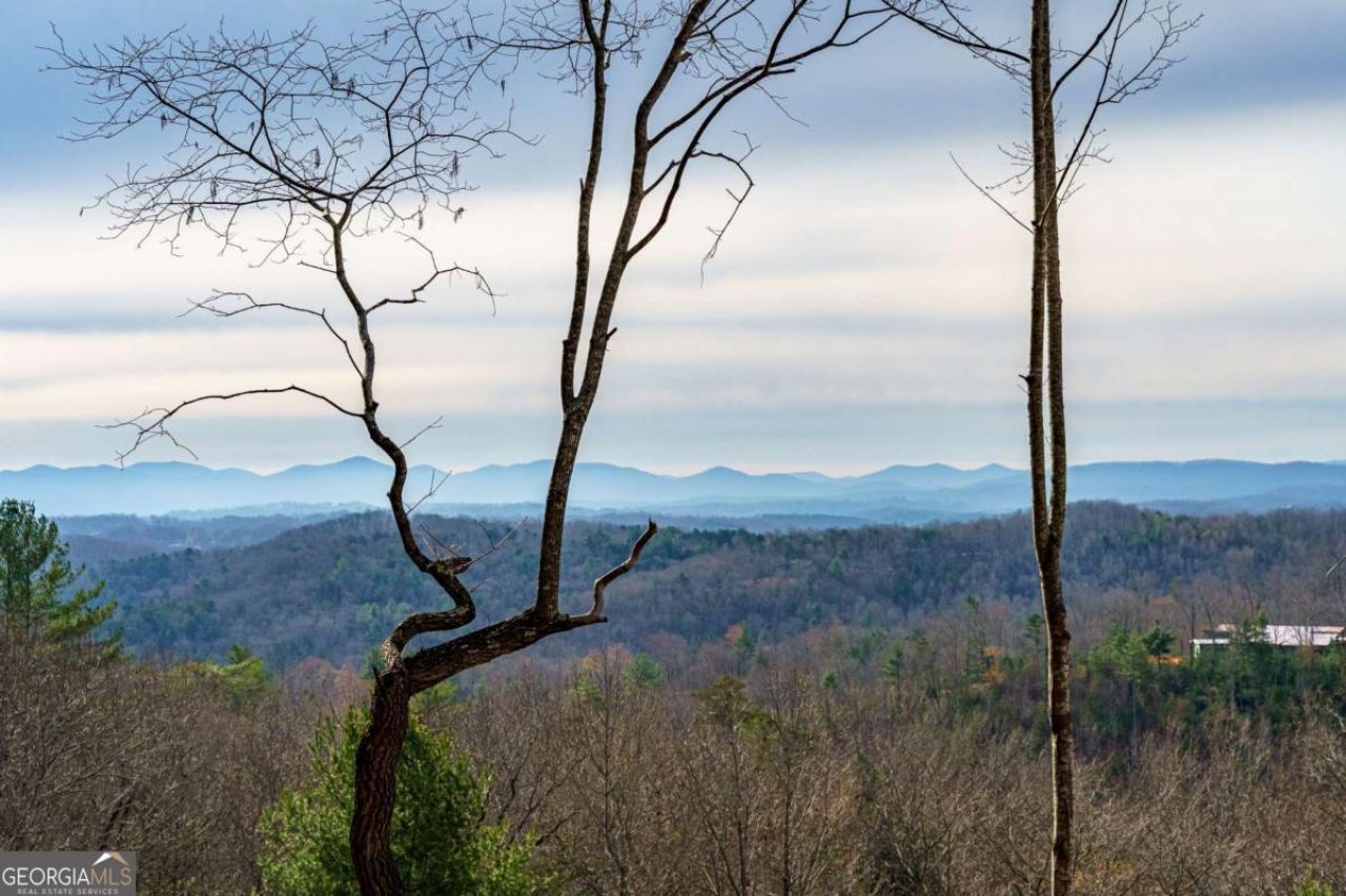 Lot 13 White Oak Circle, Lot #13, Blue Ridge, GA 30513 Main Photo