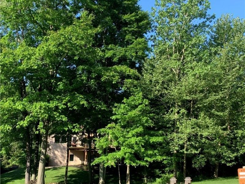 1105 Riverwoods Drive, Akron, OH 44313 Photo 47