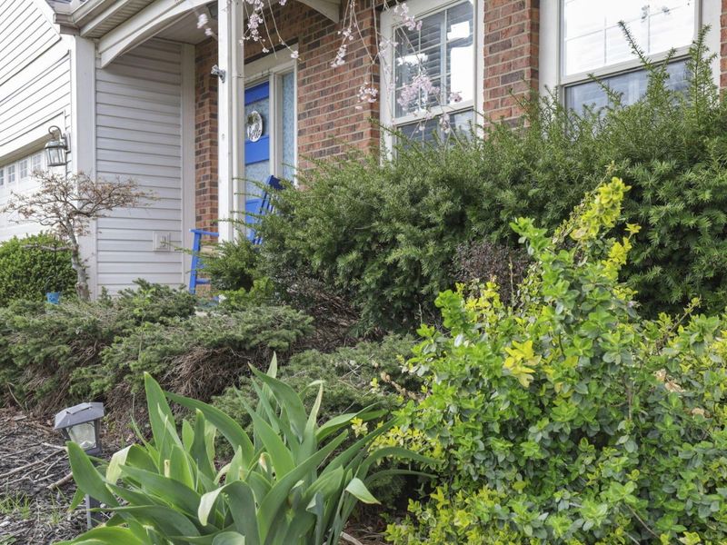 224 Bellebrooke Court, Pataskala, OH 43062 Photo 5