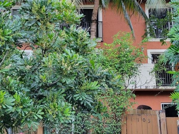 Unit A103, Miami, FL 33129