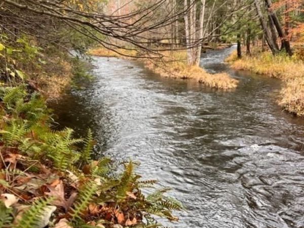 91 Laurie Lane , Call Listing Agent, NY 12413