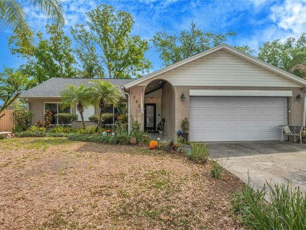 13921 CHERRY DALE LANE, TAMPA, FL 33618