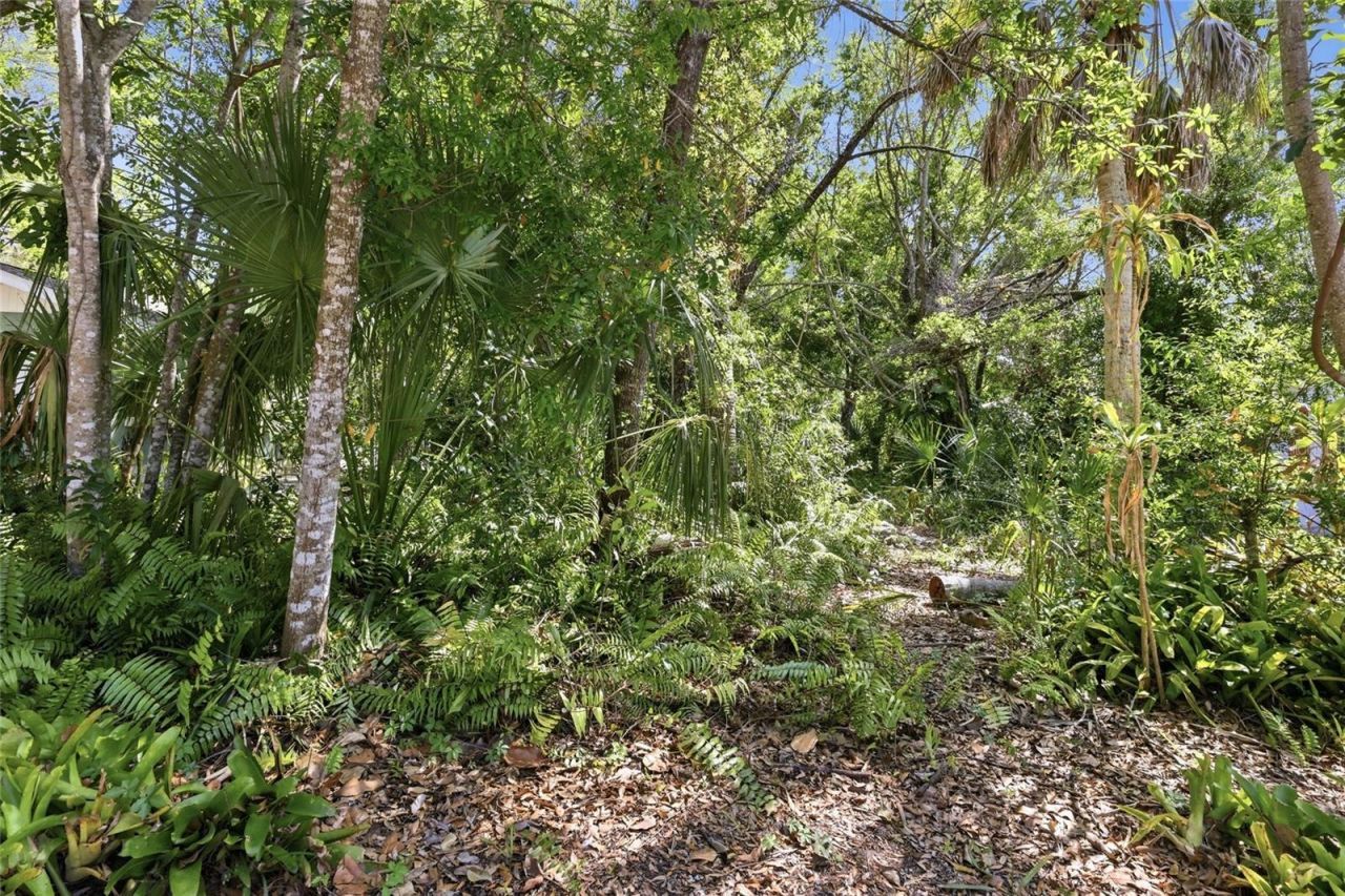 1264 18th Street, Sarasota, FL 34234 Photo