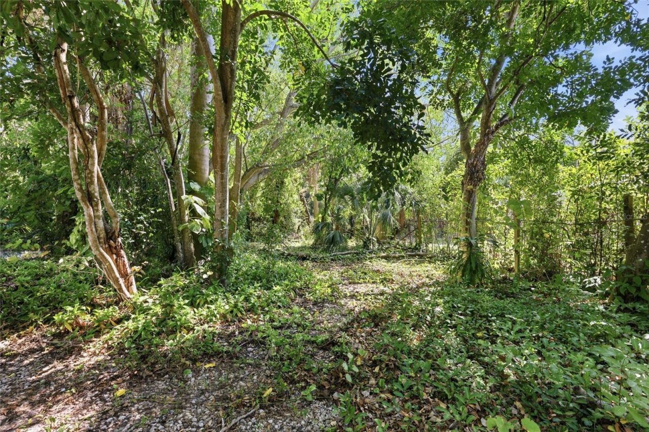 1264 18th Street, Sarasota, FL 34234 Photo