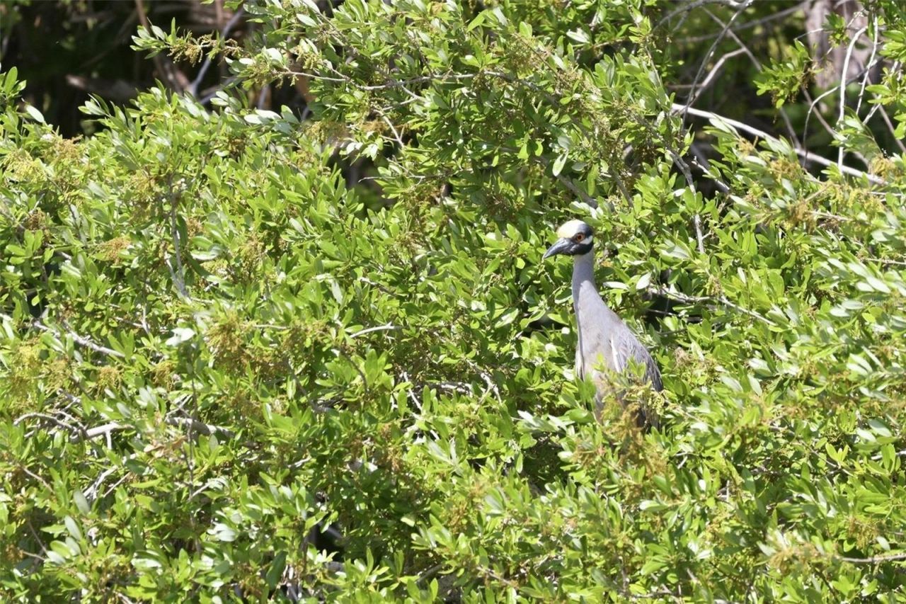 10101 Burnt Store Road, Unit 17, Punta Gorda, FL 33950 Photo