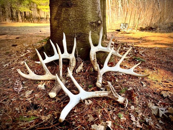 County Road M County Road M , Osceola, WI 54020