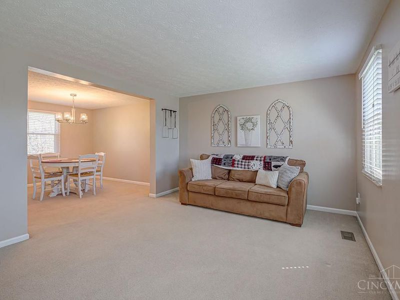 4924 Alvernovalley Court, Delhi Twp, OH 45238 Photo 4