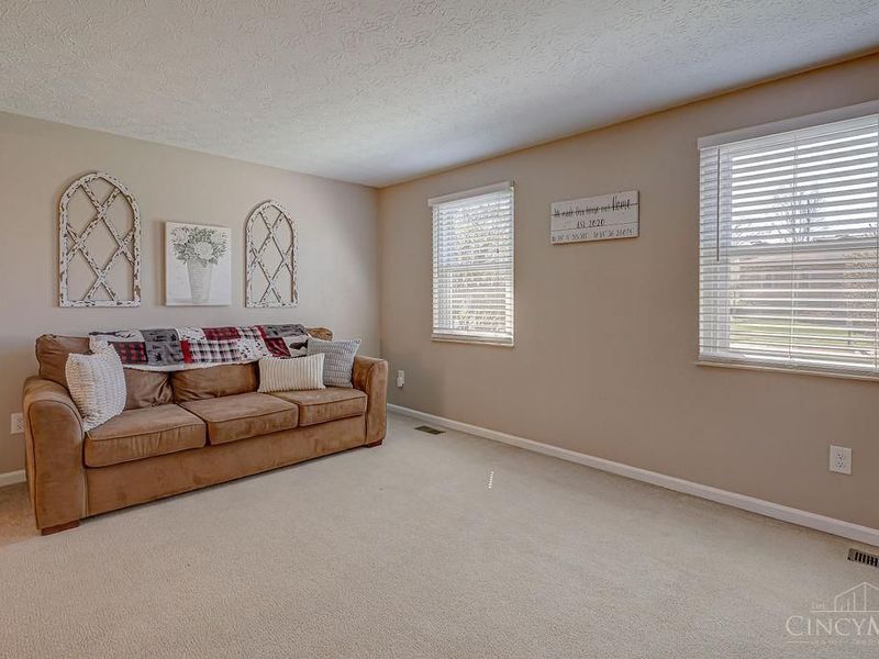 4924 Alvernovalley Court, Delhi Twp, OH 45238 Photo 5