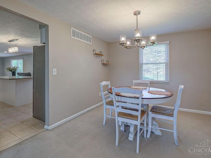 4924 Alvernovalley Court, Delhi Twp, OH 45238 Photo 8