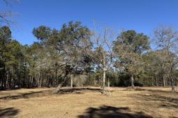 263 Brewer Road photo 4